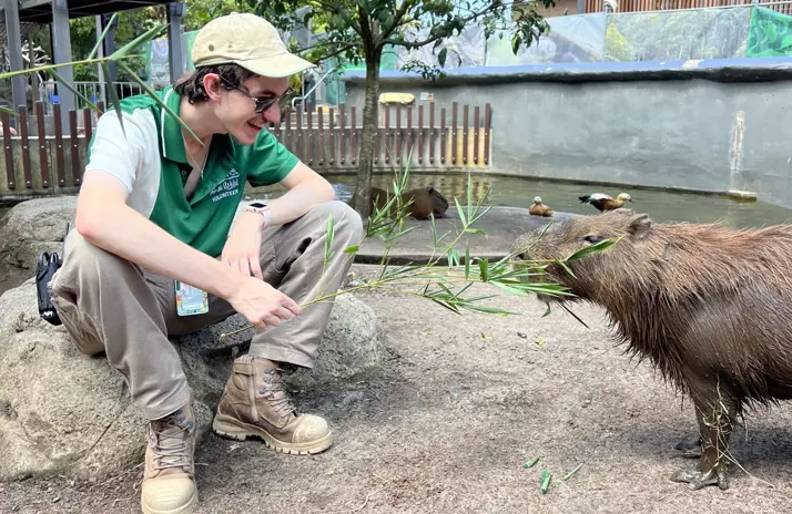 Volunteer zookeeper with capybara 